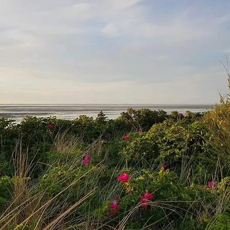 Residenz Duenenweg * Cuxhaven